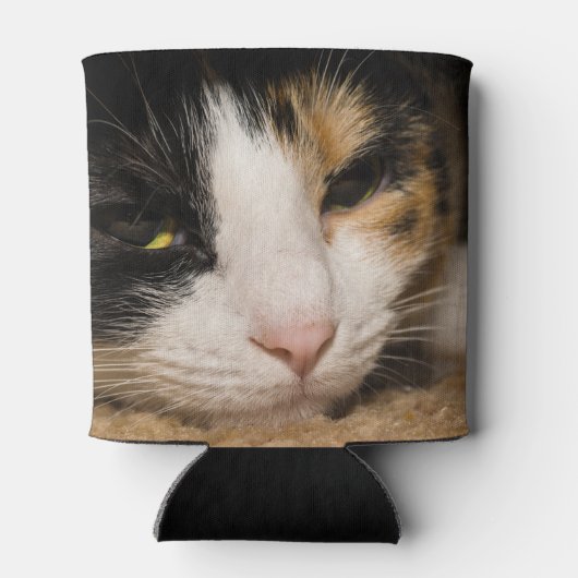 Calico Face Blikjeskoeler (Achterkant)