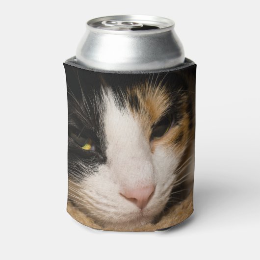 Calico Face Blikjeskoeler (Blikje Achterkant)