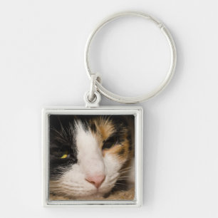Calico Face Sleutelhanger