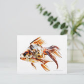 Calico Fantail Comet goudvis Briefkaart (Staand voorkant)