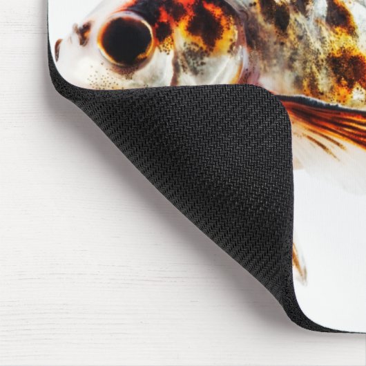 Calico Fantail Comet goudvis Muismat (Hoek)