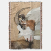 Calico-geit Deken (Voorkant Verticaal)