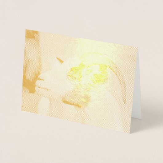 Calico-geit Folie Kaarten (Voorkant)