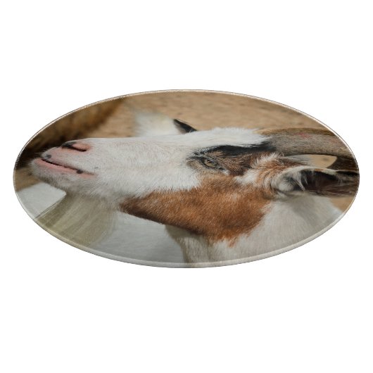 Calico-geit Snijplank (Hoek)