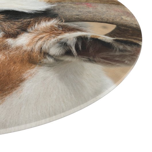 Calico-geit Snijplank (Hoek)