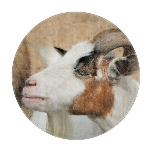 Calico-geit Snijplank