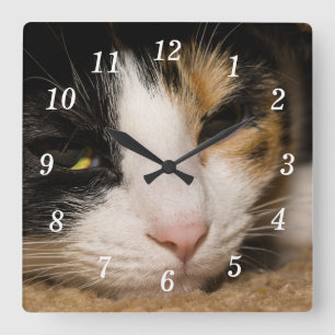 Calico Gezicht Wandklok