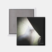 Calico Ghost Cat door djoneill Magneet (Voorkant / Achterkant)