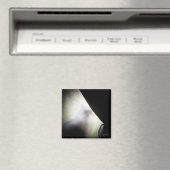 Calico Ghost Cat door djoneill Magneet (Insitu (Vaatwasser))