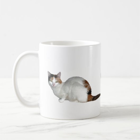 Calico Group Koffiemok (Links)