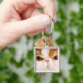 Calico Harlequin Persian Sleutelhanger (Hand)