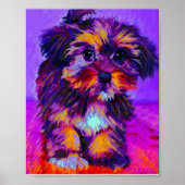 calico hond poster (Voorkant)