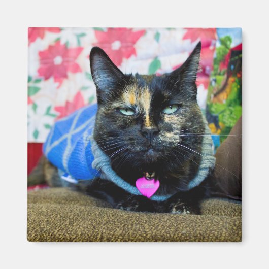 Calico I Magneet (Voorkant)