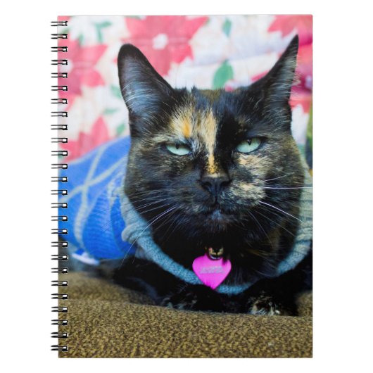 Calico I Notitieboek (Voorkant)