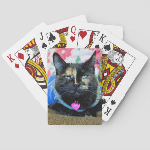 Calico I Pokerkaarten