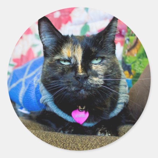 Calico I Ronde Sticker (Voorkant)
