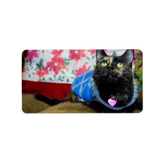 Calico II Etiket (Voorkant)