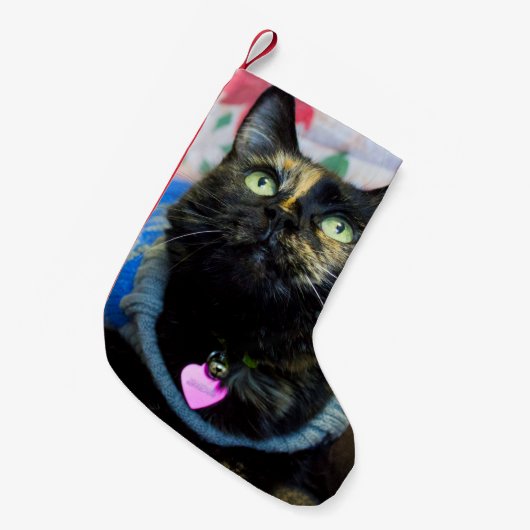 Calico II Kleine Kerstsok (Voorkant (Hangend))