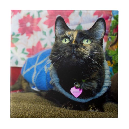 Calico II Tegeltje (Voorkant)