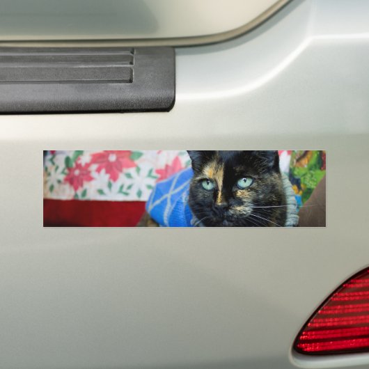 Calico III Bumpersticker (Op auto)