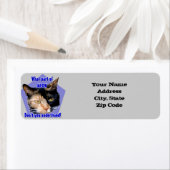 Calico kat adresetiketten etiket (Insitu)