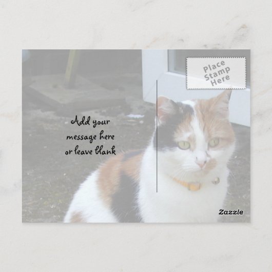 Calico-kat buiten briefkaart (Achterkant)