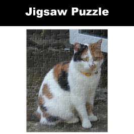 Calico-kat buiten legpuzzel