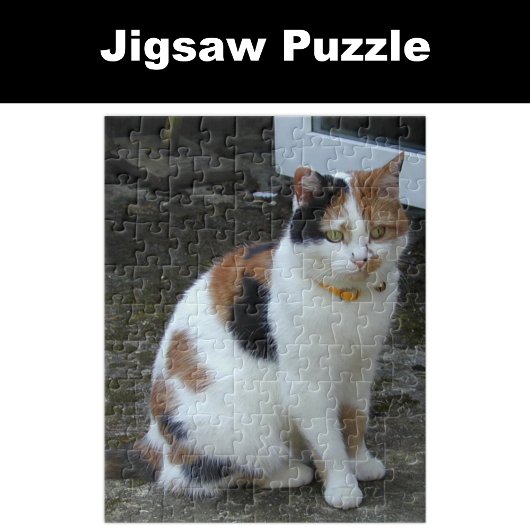 Calico-kat buiten legpuzzel
