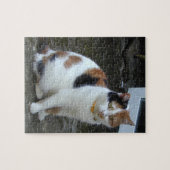 Calico-kat buiten legpuzzel (Horizontaal)