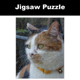 Calico kat dierenvrienden legpuzzel