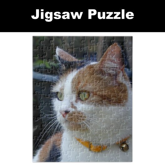Calico kat dierenvrienden legpuzzel