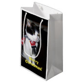 Calico Kat Dragen Sjaal Gift Bag Klein Cadeauzakje (Voorkant Gekanteld)