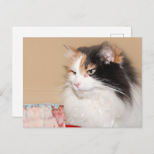 Calico kat eet verjaardagstaart feestdagenkaart (Voorkant / Achterkant)