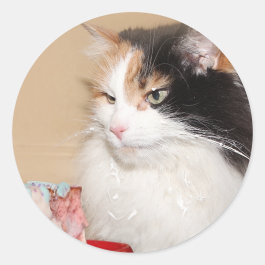Calico kat eet verjaardagstaart ronde sticker (Voorkant)