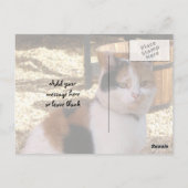 Calico-kat in de tuin briefkaart (Achterkant)