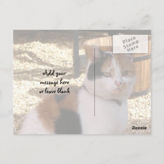 Calico-kat in de tuin briefkaart (Achterkant)