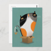 Calico kat in doos briefkaart (Voorkant / Achterkant)