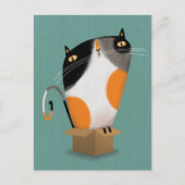Calico kat in doos briefkaart (Voorkant)