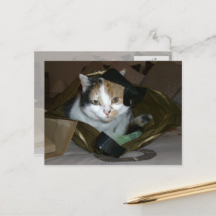 Calico-kat in een boodschappenzak briefkaart