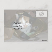 Calico-kat in een boodschappenzak briefkaart (Achterkant)