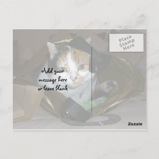 Calico-kat in een boodschappenzak briefkaart (Achterkant)