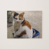 Calico-kat in een doos in de tuin legpuzzel (Horizontaal)