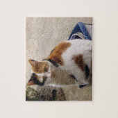 Calico-kat in een doos in de tuin legpuzzel (Verticaal)