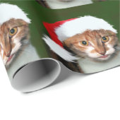 Calico kat kerst humbug cadeaupapier (Rol Hoek)