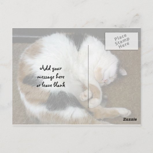 Calico-kat kromp op een slaapmutsje briefkaart (Achterkant)