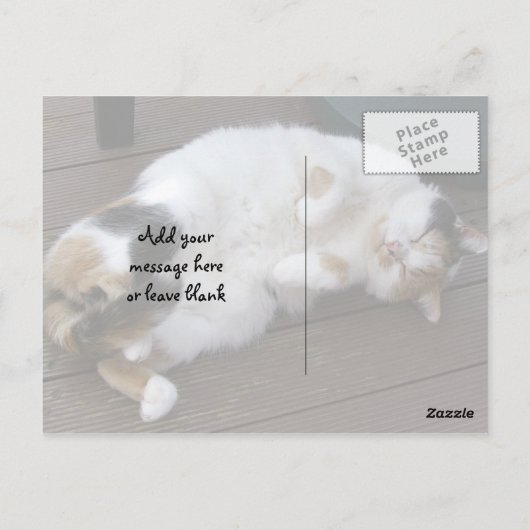 Calico-kat kromp op het decking briefkaart (Achterkant)