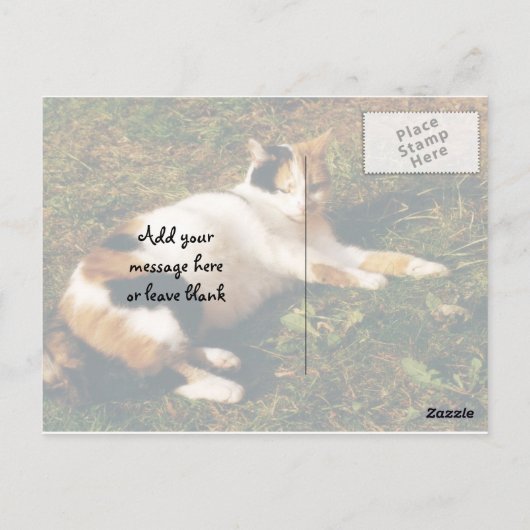 Calico-kat ligt op het gras briefkaart (Achterkant)