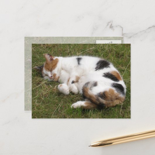 Calico-kat ligt op het gras briefkaart (Voorkant / Achterkant in situ)