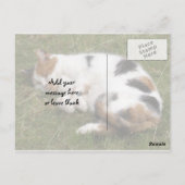 Calico-kat ligt op het gras briefkaart (Achterkant)