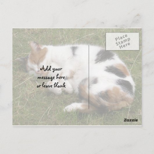 Calico-kat ligt op het gras briefkaart (Achterkant)